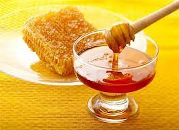 تصویر 2 از قیمت خرید عسل کنار طبیعی + فروش ویژه